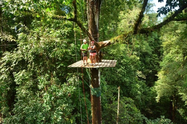 Ziplining in the rainforest